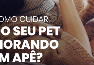 Como cuidar do seu pet morando em apê? Confira 5 dicas.