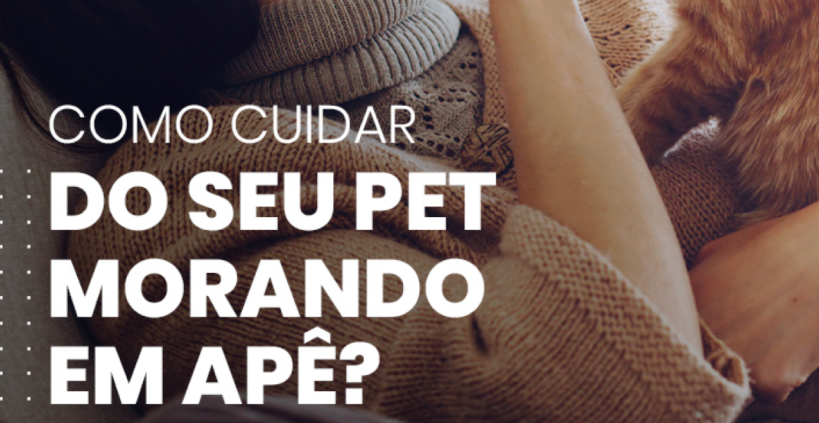 Como cuidar do seu pet morando em apê? Confira 5 dicas.